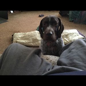 Meet your Posher, David